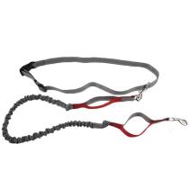 New Pet Products Nylon Bungee Reflective Hands Free Dog Leash