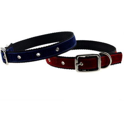 Adjustable Ribbon and Durable Nylon Webbing Dog Collars