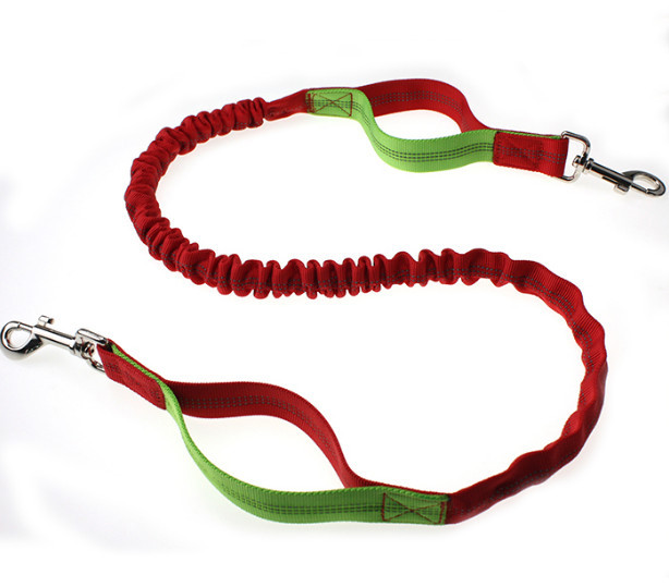 colorful hands free dog leash