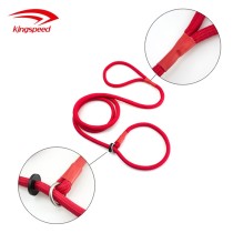 Durable Red Nylon Dog Leash with Slip Collar