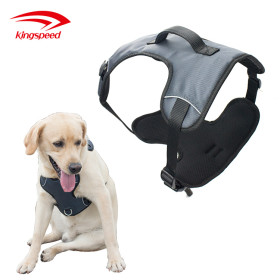 Breathable Padded No-Pull Dog Harness