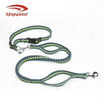 Bungee Hands Free Dog Leash with 2 Control Handle for Dog Training, Walking,and Hiking