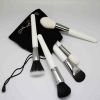 Hot Sale High Quality Low Price All Kinds Of Oval Makeup Brush Set 10Pcs