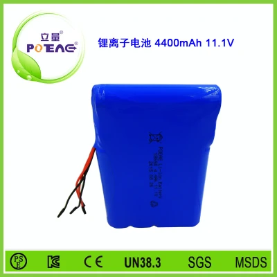 12V ICR18650 4400mAh锂电池组