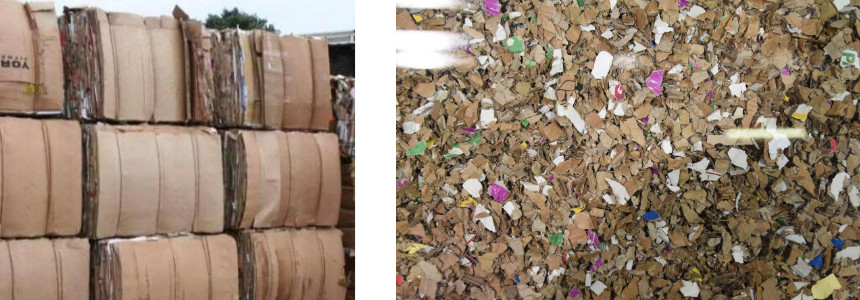 Cardboard Waste Recycling