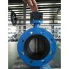 Double Flange Concentric Butterfly Valve