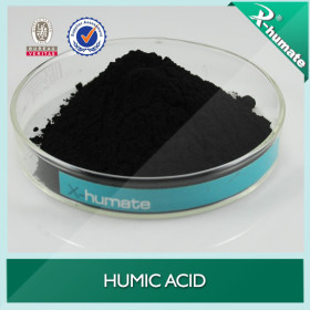 Humic Acid 60% from lenardite