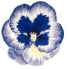 Handtufted 100% polyester shaggy petals free form rugs for decoration