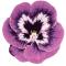 Handtufted 100% polyester shaggy petals free form rugs for decoration