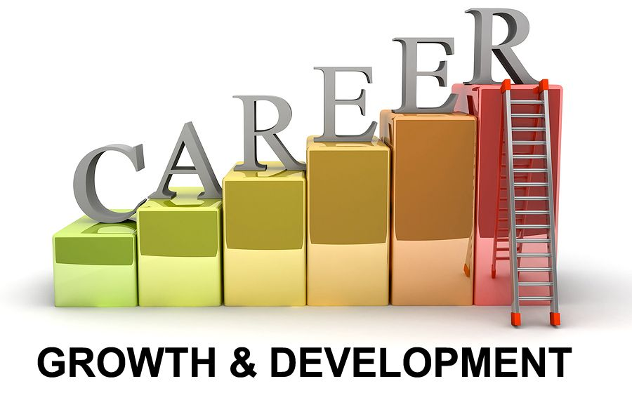 Career Growth and Learning at Smarlean