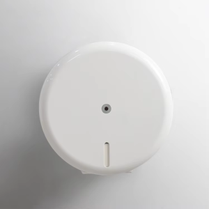 Durable Paper Towel Dispenser | Heavy-Duty Stainless Steel Fixed Outlet Design