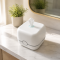 HX1 Disinfect Center Pull Napkin Paper Dispenser | Suitable for Household or Commercial use.