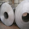 sphc hot rolled steel strips / coil