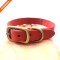 Strong Texture Golden Pin Buckle Microfiber Dog Collar