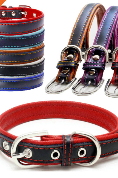 Colorful Strap Leather Fancy Sliver Pin Buckle Dog Collar