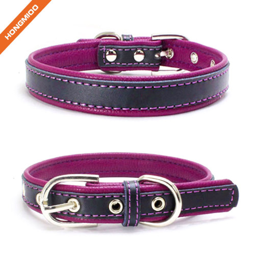 Colorful Strap Leather Fancy Sliver Pin Buckle Dog Collar