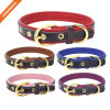 Fancy Color Western Style Golden Pin Buckle Leather Dog Collar