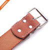 Luxury Metal Studded Pin Buckle Unique Designer Leather Dog Collar