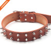 Luxury Metal Studded Pin Buckle Unique Designer Leather Dog Collar