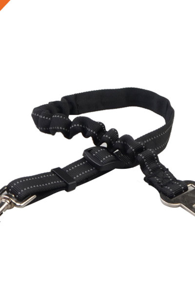 Luxury Nylon Leash Using in Car