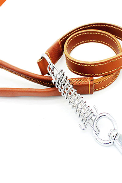 Luxury Leather Multiple Color Dog Leash