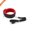 Premium Faux Leather Lockable Neck Collar and Leash