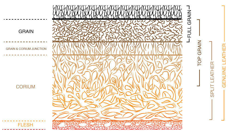 Dermal stratification