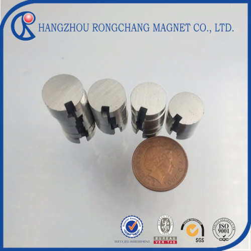 High Quality Rare Earth Neodymium Magnets