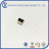 High Quality Custom N42SH Neodymium Magnets for motor