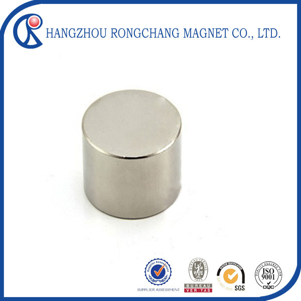 Magnetic stability permanent magnet motor