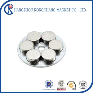 Customized Size Rare Earth Ndfeb Speaker Magnet