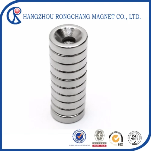 High Quality Permanent Ring Sintered NdFeB Speaker Magnet