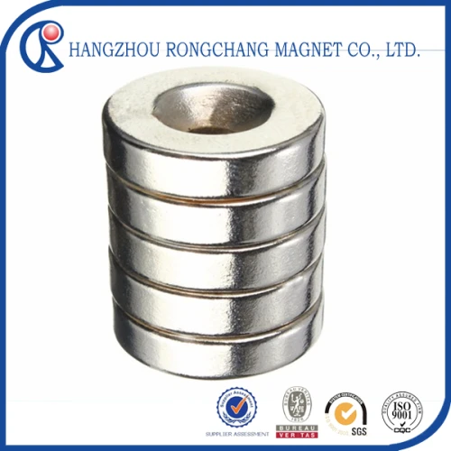 High Quality Permanent Ring Sintered NdFeB Speaker Magnet