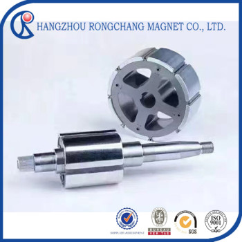 Arc NdFeB Magnet for Motor Rotor