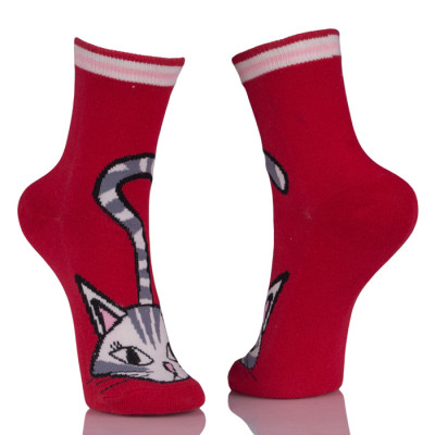 Cute Cat Funny Socks Red Sox
