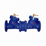 HS41X Anti-Pollution Isolating Check Valve