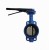 D71X Ductile iron Manual Concentric Wafer Butterfly Valve