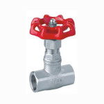 Stainless Steel Full Bore NPT Female Thread Globe Valve