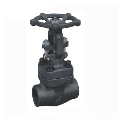 Handwheel 1 inch forged body steel gate valve