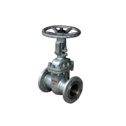 ANSI150 Stainless steel resilient seated double flange gate valve