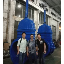 Our client comes factory to check gate valve, today is the shippment date.
