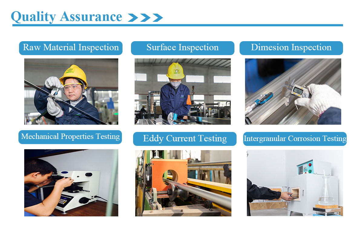 vinmay quality assurance
