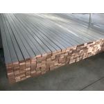 Titanium Clad Copper Busbar