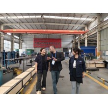 On the afternoon of October 9, 2024, the Turkish customer visited our company for a visit and business negotiation.