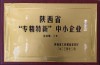 陕西省“专精特新”中小企业证书