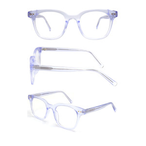 Wholesale 2021 New Adult Acetate Injection Optical Frame With Metal Spring Hinge Transparent Color Series