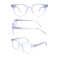 Wholesale 2024 New Adult Acetate Injection Optical Frame With Metal Spring Hinge Transparent Color Series