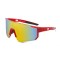 PC sport sunglasses with rubber temple tip