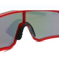 PC sport sunglasses with rubber temple tip
