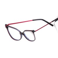 Wholesale 2023 Ultralight Adult Acetate Optical Frame With Metal Temple